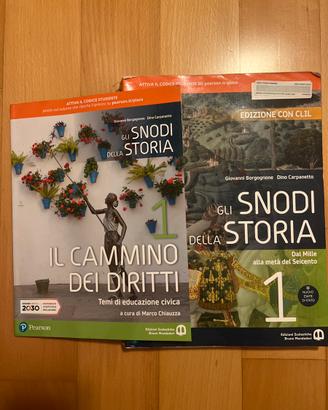 Gli snodi della storia