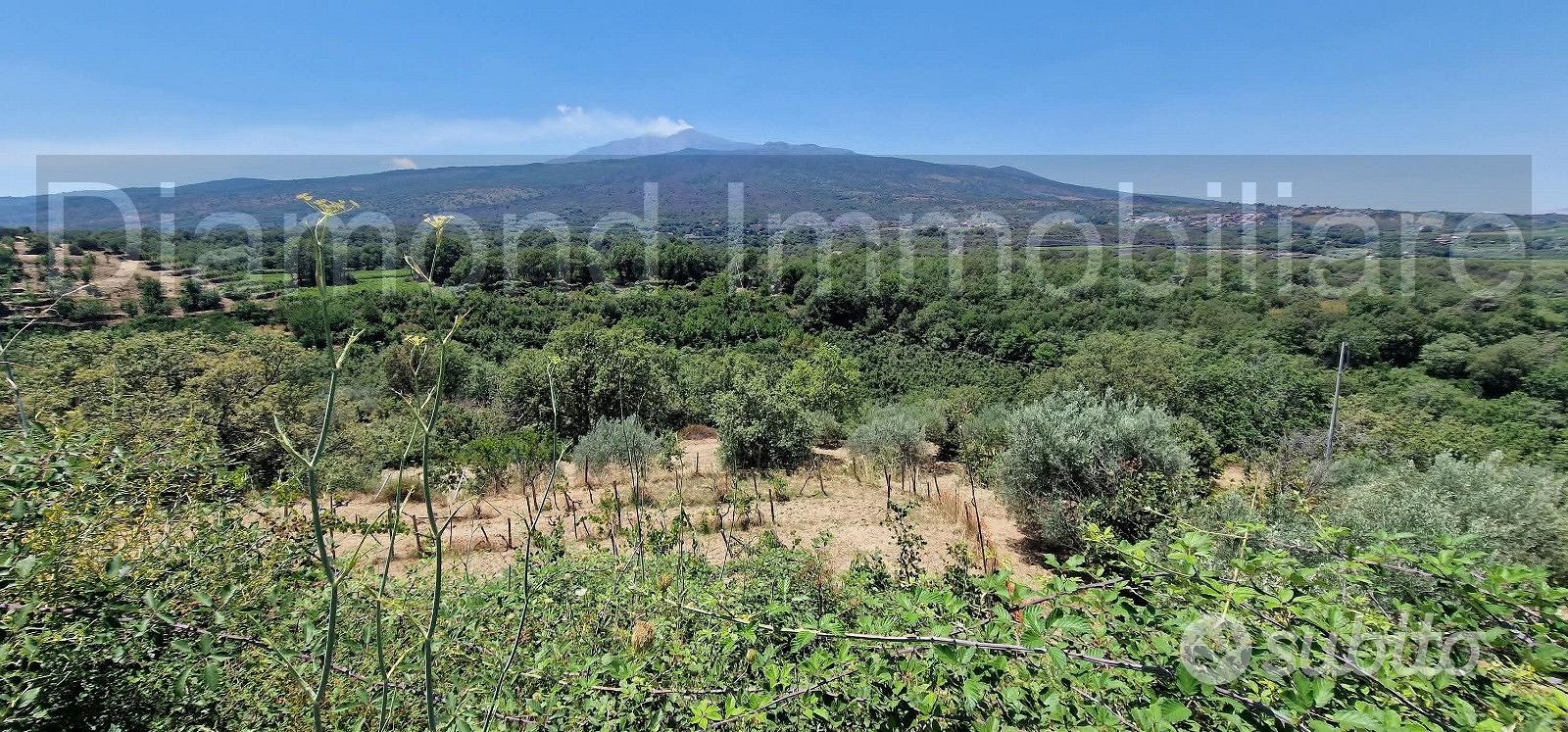 Terreno agricolo 7,5 ettari Castiglione di Sicilia - Vista 5