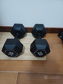 Manubri 20 kg