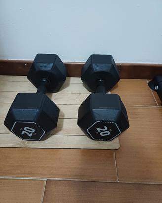Manubri 20 kg