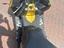 Immagine 4