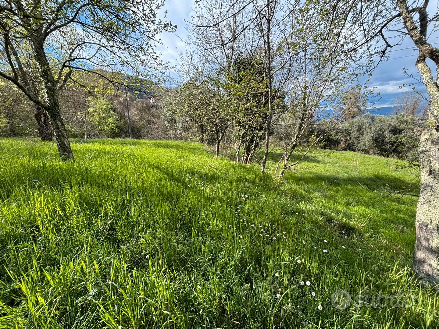 Terreno agricolo - Vista 4