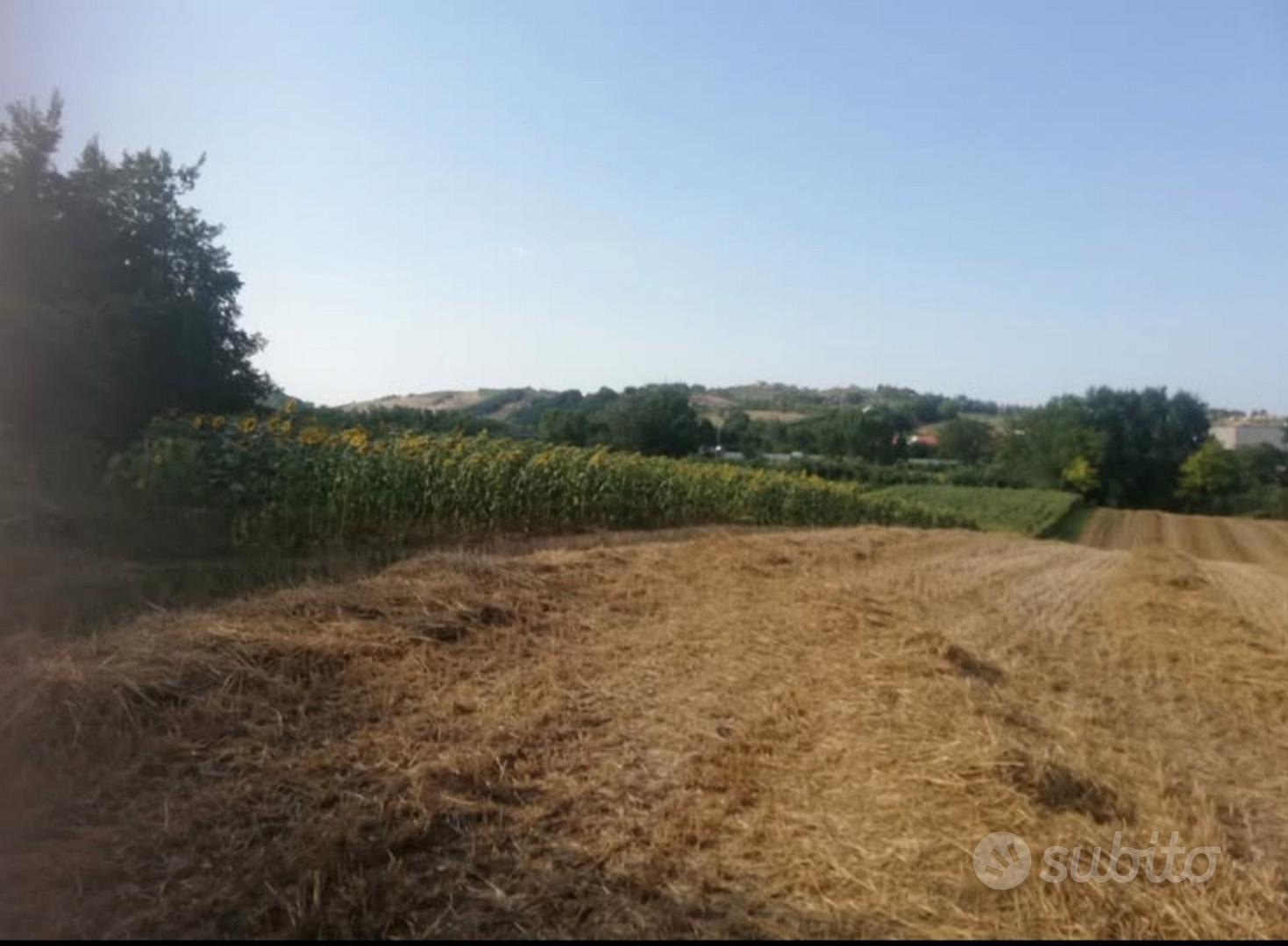 Spoltore - Terreni - Vista 2