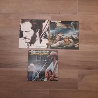 Vinile Francesco de Gregori