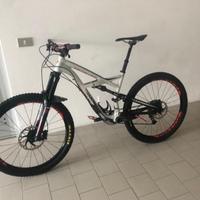 Bicicletta Specialized Enduro