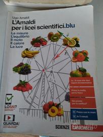 L' Amaldi per i licei scientifici.blu