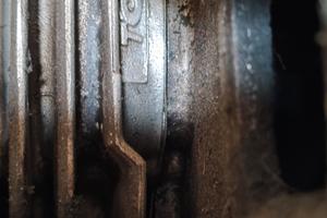 Blocco motore Piaggio Zip