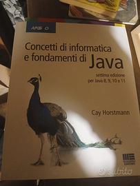 Concetti di informatica e fondamenti di Java