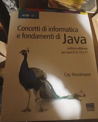Concetti di informatica e fondamenti di Java