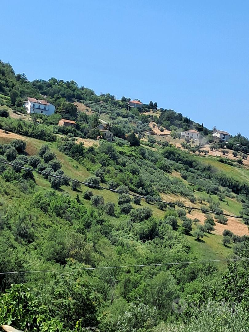 Terreno agricolo - Vista 6