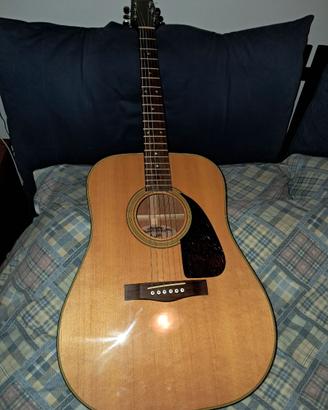 Chitarra acustica Fender F210