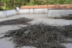 Trib.di Salerno-RG347/2018 Lastrico solare in asta