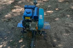 motozappa Bertolini 195 s