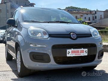 Fiat Panda 1.2 Easy GRIGIO MODA DA NEOPATENTATI
