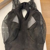 Equitazione per cavallo