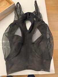 Equitazione per cavallo