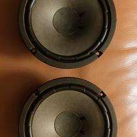 Coppia Woofer Aurex Toshiba.