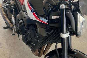 Fz1 del 2009