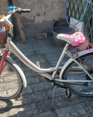 Bicicletta ruota 26