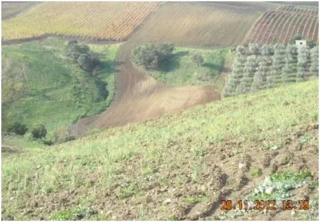 Immobile in asta di 65029 m² a Lavello - Vista 3