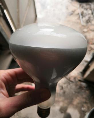 Lampada a infrarossi bianca 250w