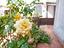 Immagine 28