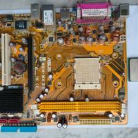 Varie schede madri Asus e ASRock + CPU AMD & Intel