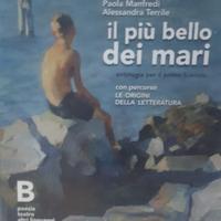 Il più bello dei mari B - usato - 9788839526311