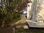 Immagine 22