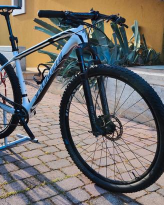 specialized stumpjumper  29