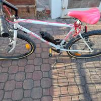 Mountain bike Bottecchia Sunkiss