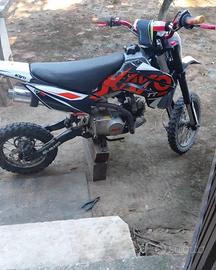 pit bike kayo 125