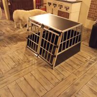 kennel per cani 