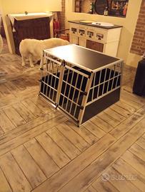 kennel per cani 