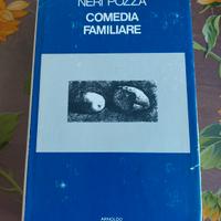 Comedia familiare di Neri Pozza