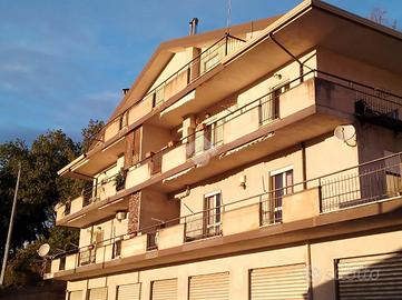 3 LOCALI A SAN PIETRO IN GUARANO