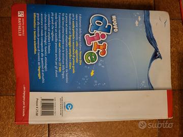 DIZIONARIO NUOVO DIRE RAFFAELLO EDIZIONE 2009