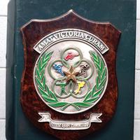 Crest giochi olimpici militari.