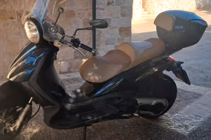 Beverly Cruiser  500 ye