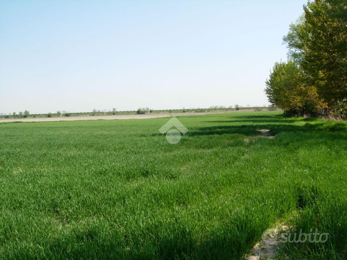 TER. RESIDENZIALE A RONCADE - Vista 4