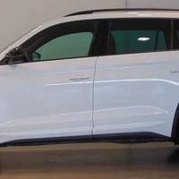 kodiaq Tdi dsg 4x4 7p dcc