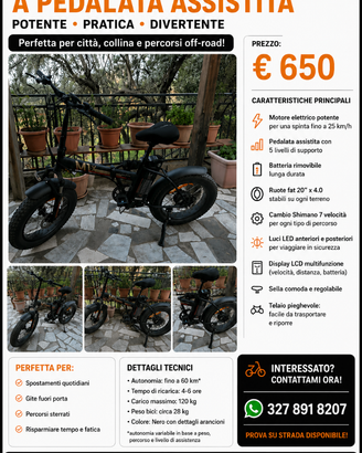 Bici elettrica con pedalata assistita