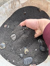 Sabbia nera finissima