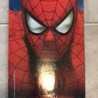 Skateboard spiderman