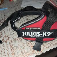 pettorina K9  mini mini nuova