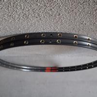 Cerchioni bicicletta corsa