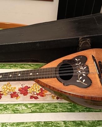 Mandolino in perfetto stato 