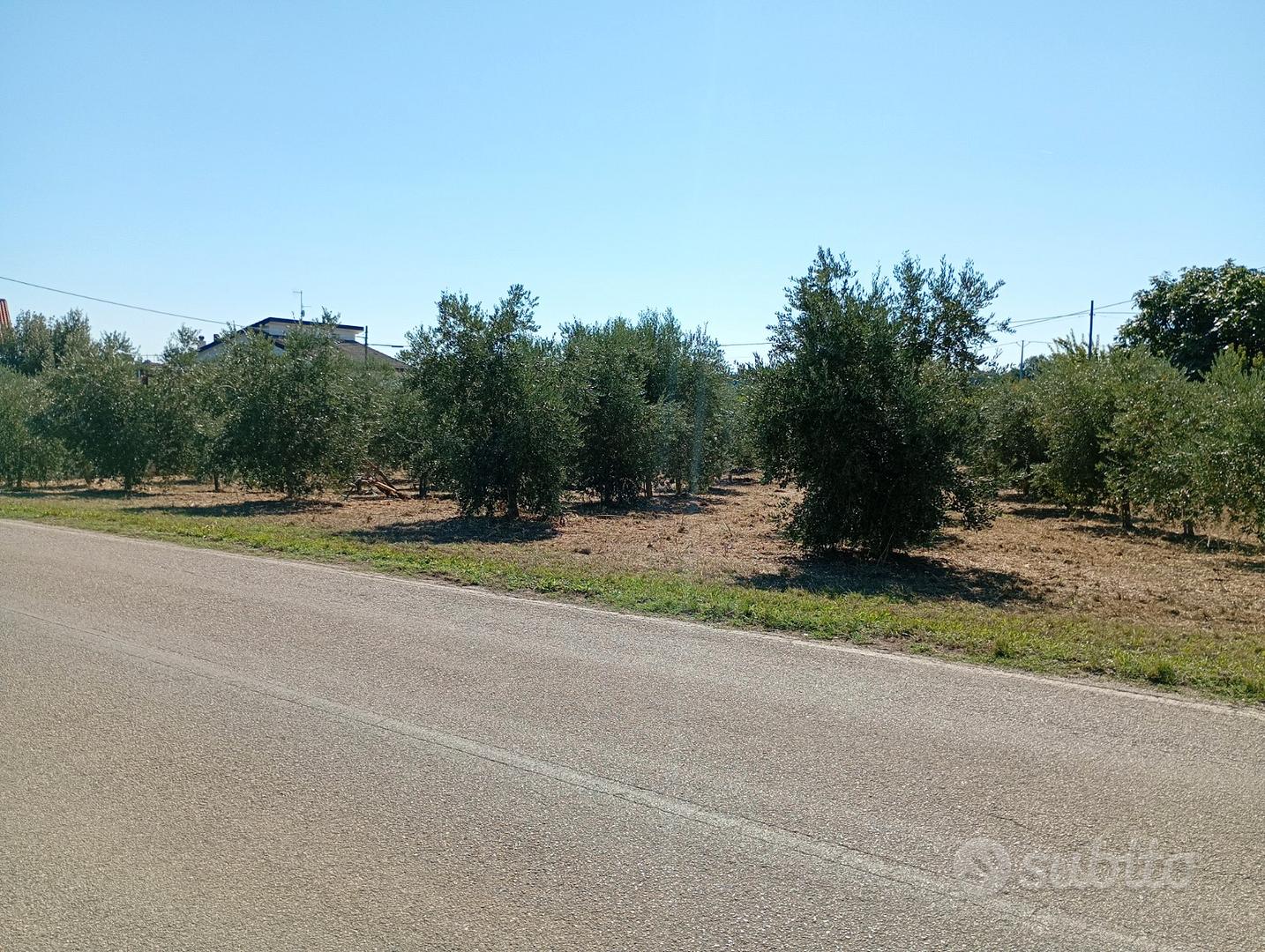 Lotto di terreno - Vista 3