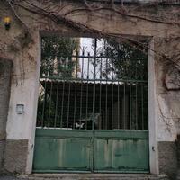 Cancello in ferro d'epoca