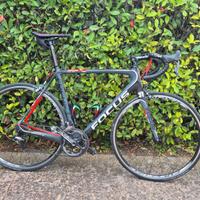 Focus Izalco pro XL - Bici da corsa carbonio